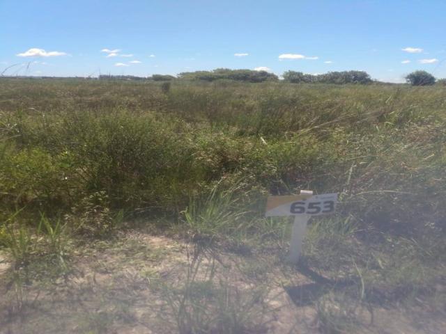 #207 - Terreno para Venda em Pelotas - RS - 1
