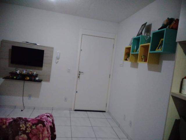 #439 - Apartamento para Locação em Pelotas - RS - 2
