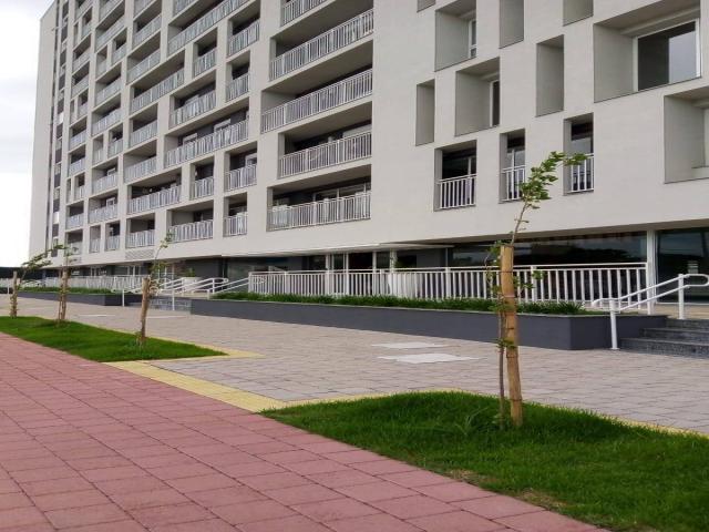 #1024 - Sala para Locação em Pelotas - RS - 1