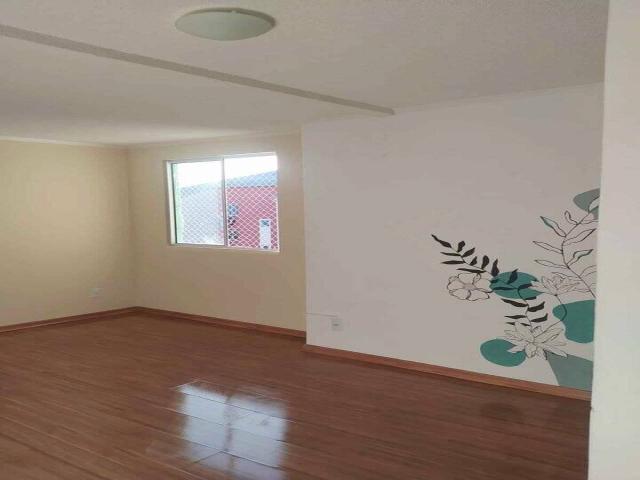 #733 - Apartamento para Locação em Pelotas - RS - 3