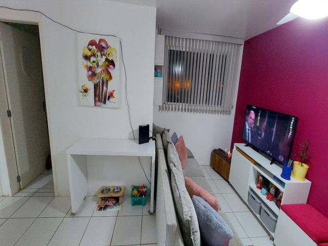 #5001 - Apartamento para Venda em Pelotas - RS - 1