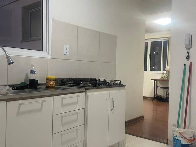 Apartamento em Condomínio para Locação em Pelotas - 5